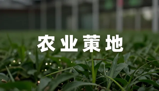 品牌定位模糊影响管理效率,如何精准优化